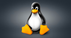 Destiny 2 for Linux